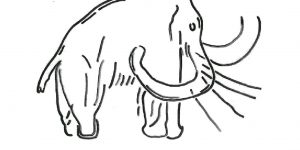 Vortrag: Die eiszeitliche Fauna um Osterode